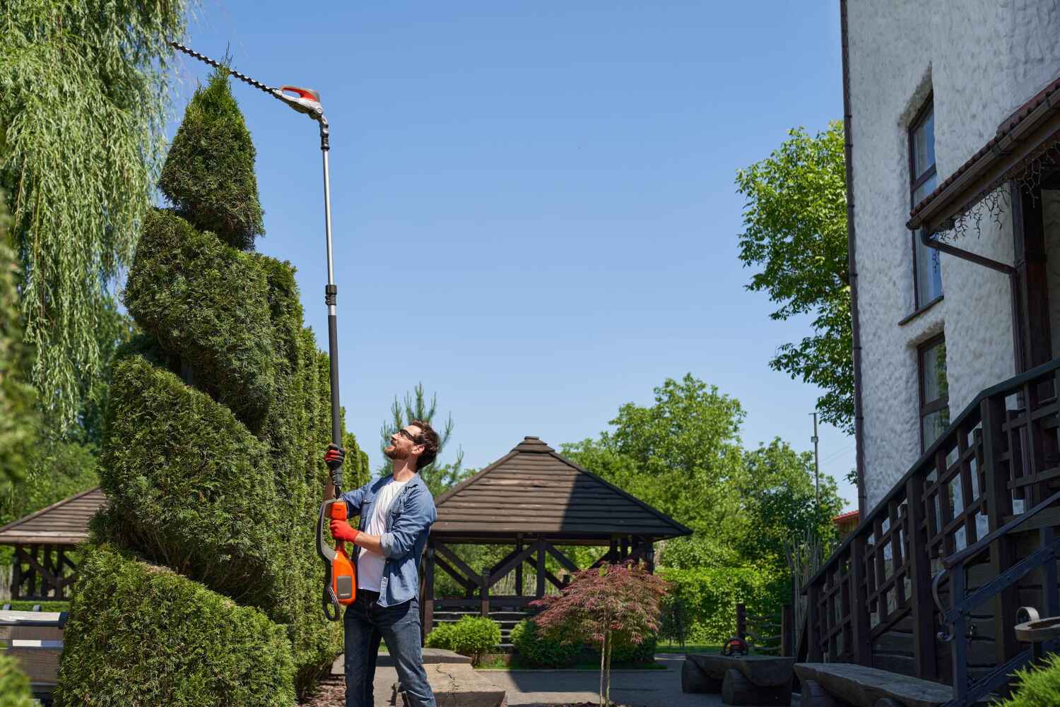 Tree Branch Trimming in Addison, TX